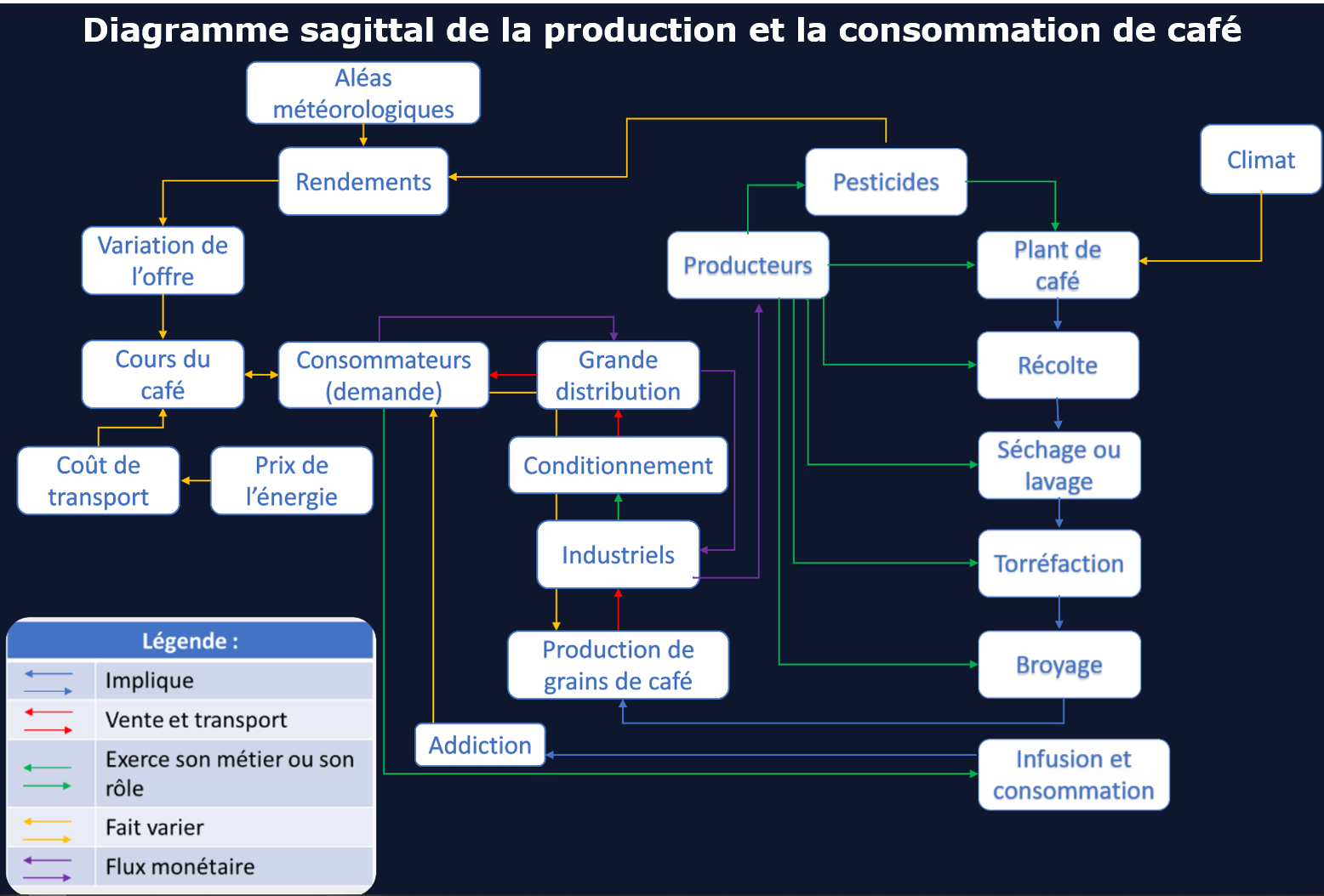 Diagramme sagittal de la production et de la consommation de café
