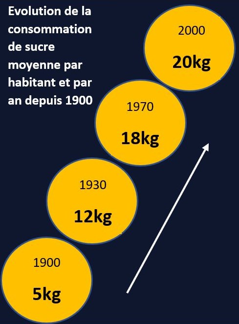 Évolution de la consommation de sucre moyenne par habitant et par an depuis 1900